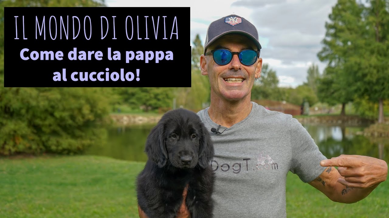 Come dare la pappa al cucciolo. Il mondo di Olivia