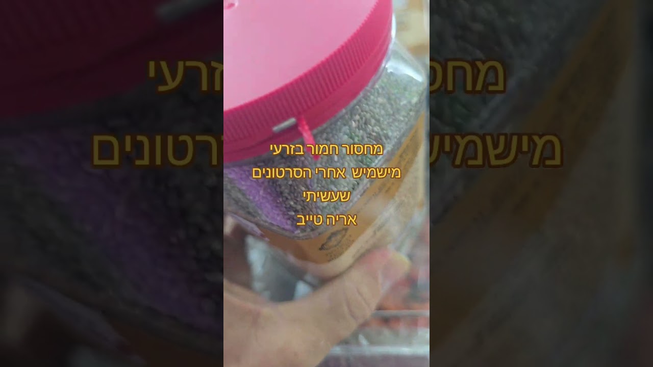 1 בפברואר 2026