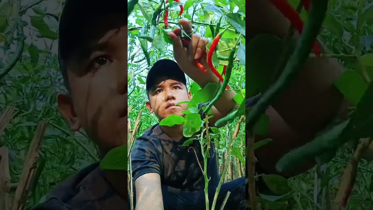 Masak sisa daging kurban #awanvlog