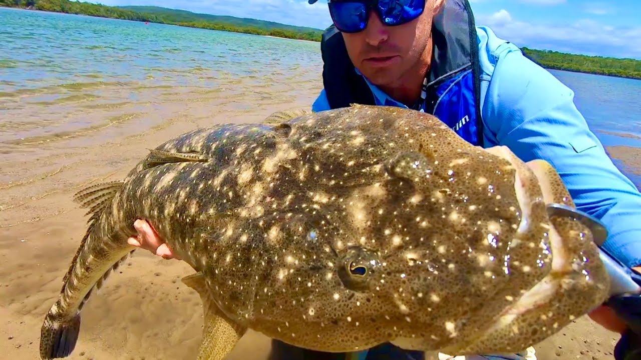 A NEW LURE FOR BIG FLATHEAD!
