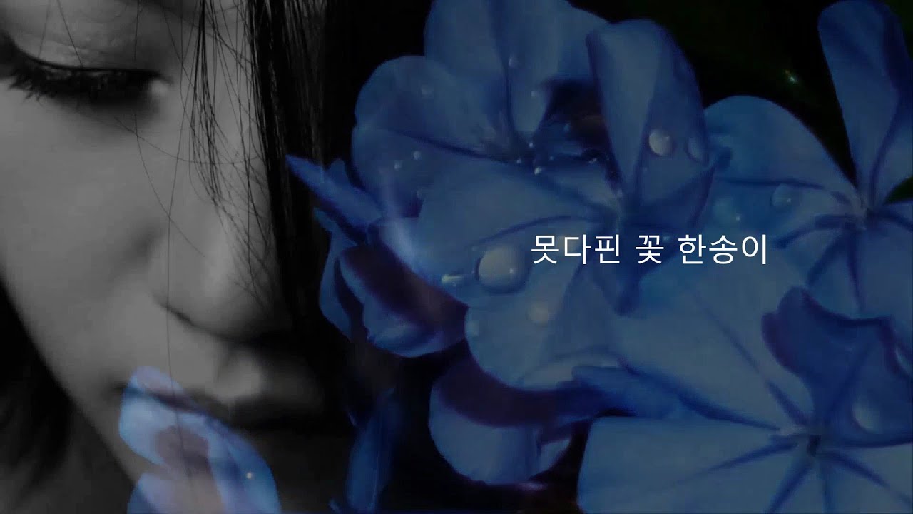 못다핀 꽃한송이 (마야)