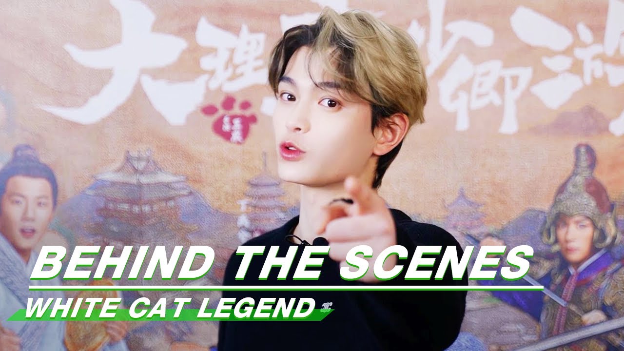 🐱Ding Yuxi Invites You to Pay Attention to 