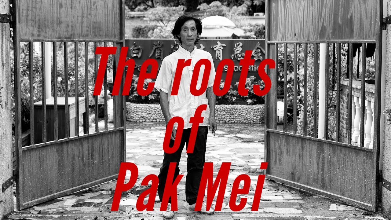 The roots of Pak Mei - Documentary on Siye Lao Wei San 2015