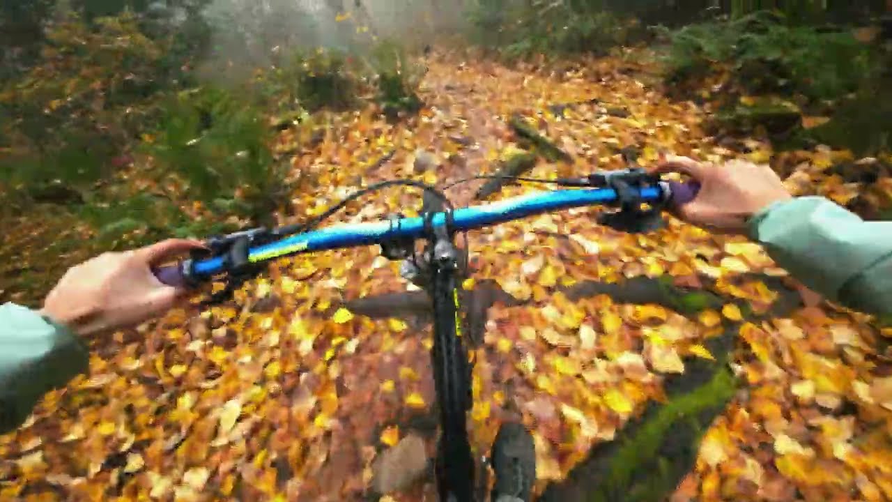 The perfect beginner trail on SFU // North Road Trail // MTB