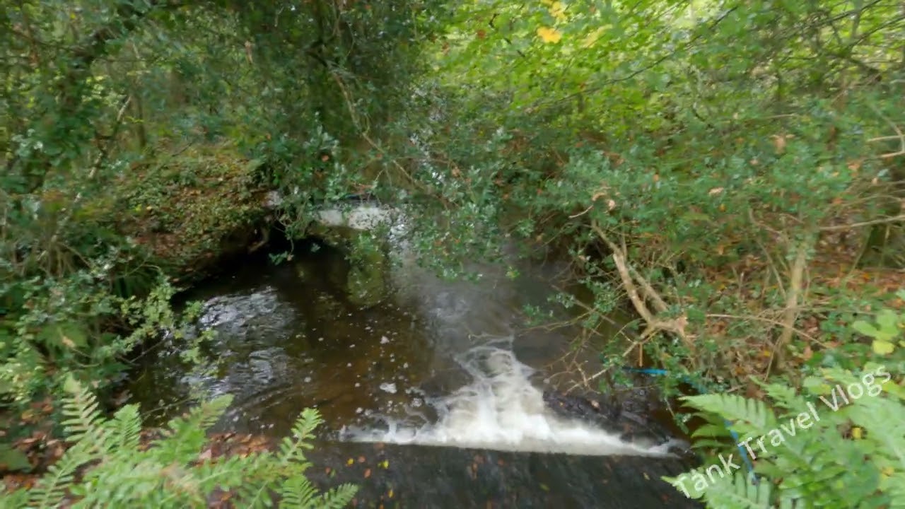 Exploring the Local Forestry - White Acres 2025
