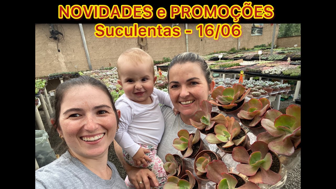 NOVIDADES e PROMOÇÕES - Suculentas - 16/06
