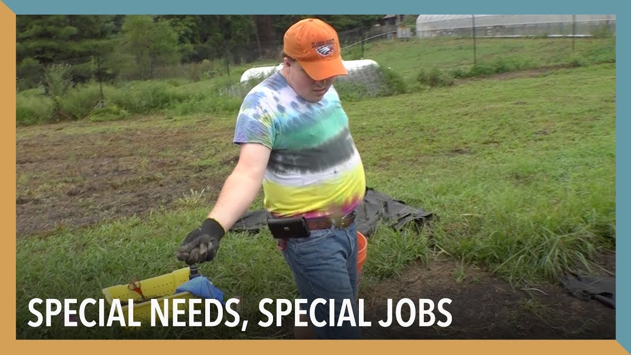 Special Needs, Special Jobs | VOA Connect