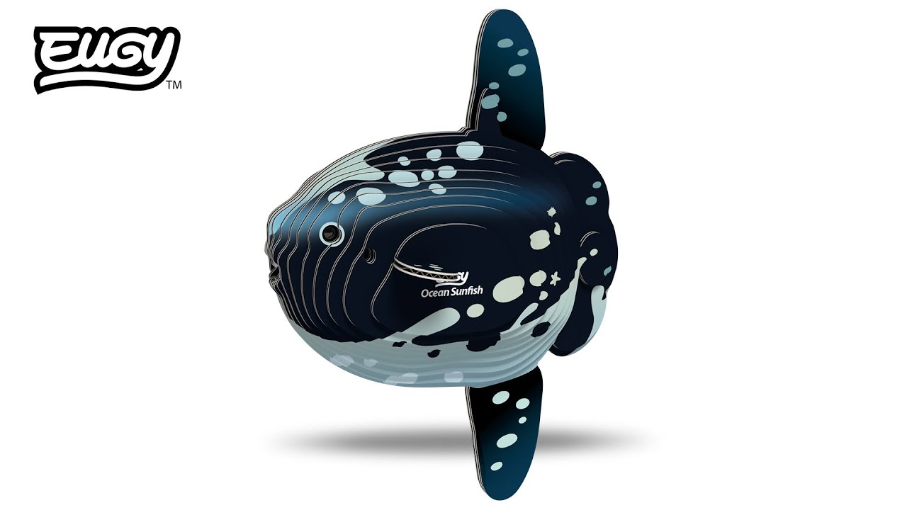 How to make: 132 Ocean Sunfish