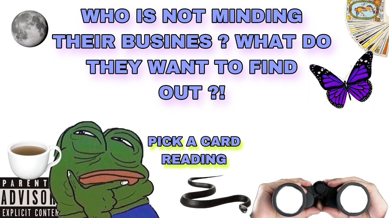 (PICK A CARD) WHO IS NOT MINDING THEIR BUSINESS? WHAT DO THEY WANT TO FIND OUT ?!