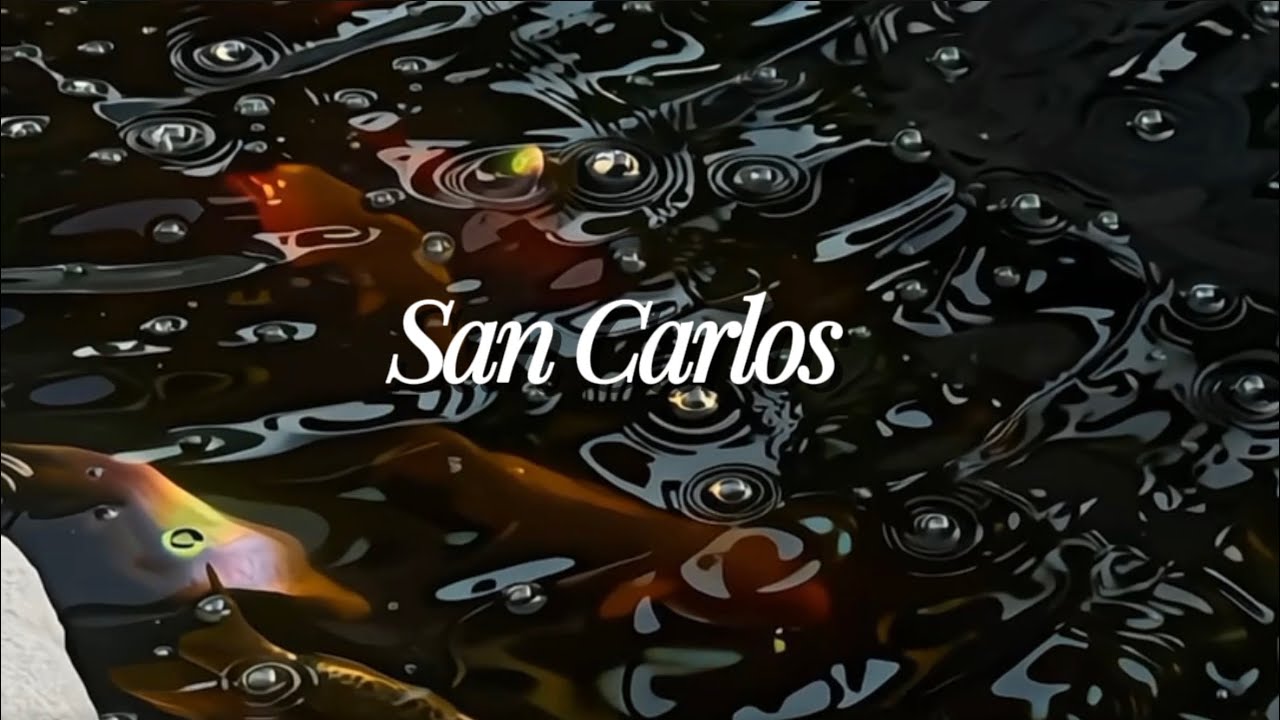 Pontay - San Carlos (Official Lyric Video)