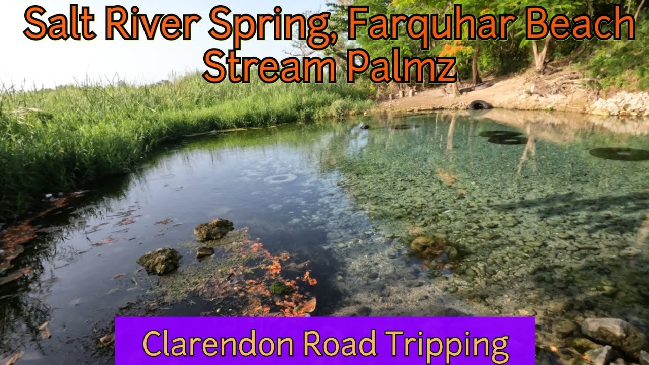 Clarendon Road Trip: Salt River Spring, Farquhar Beach, Stream Palmz