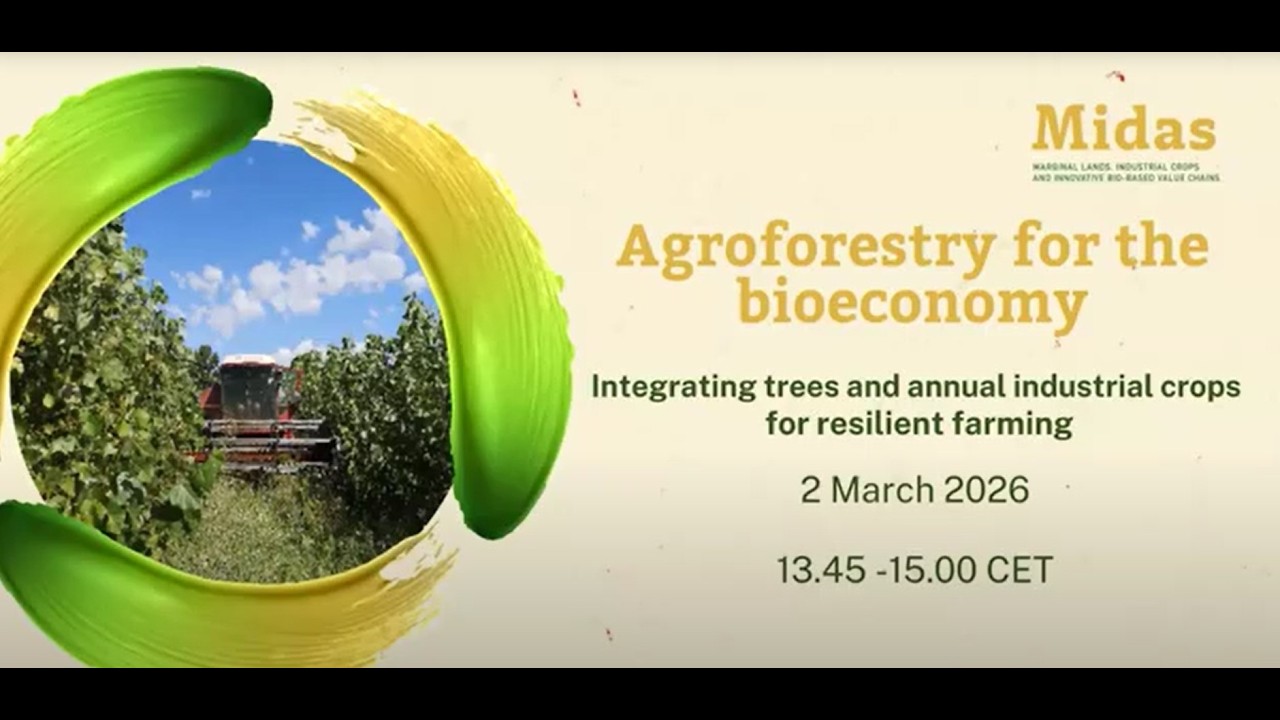 Agroforestry for the Bioeconomy