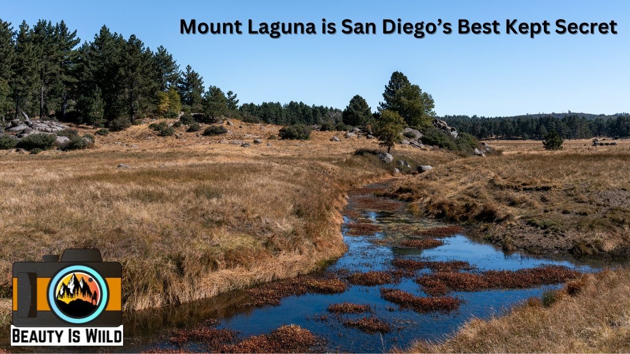 Big Laguna Lake Trail | Serene Meadow Hike in San Diego's Laguna Mountains