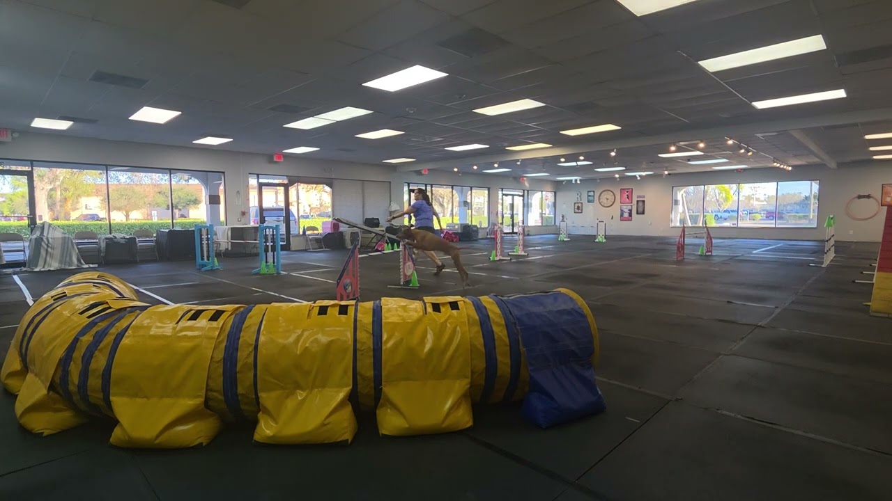 Talisker,  Agility 2