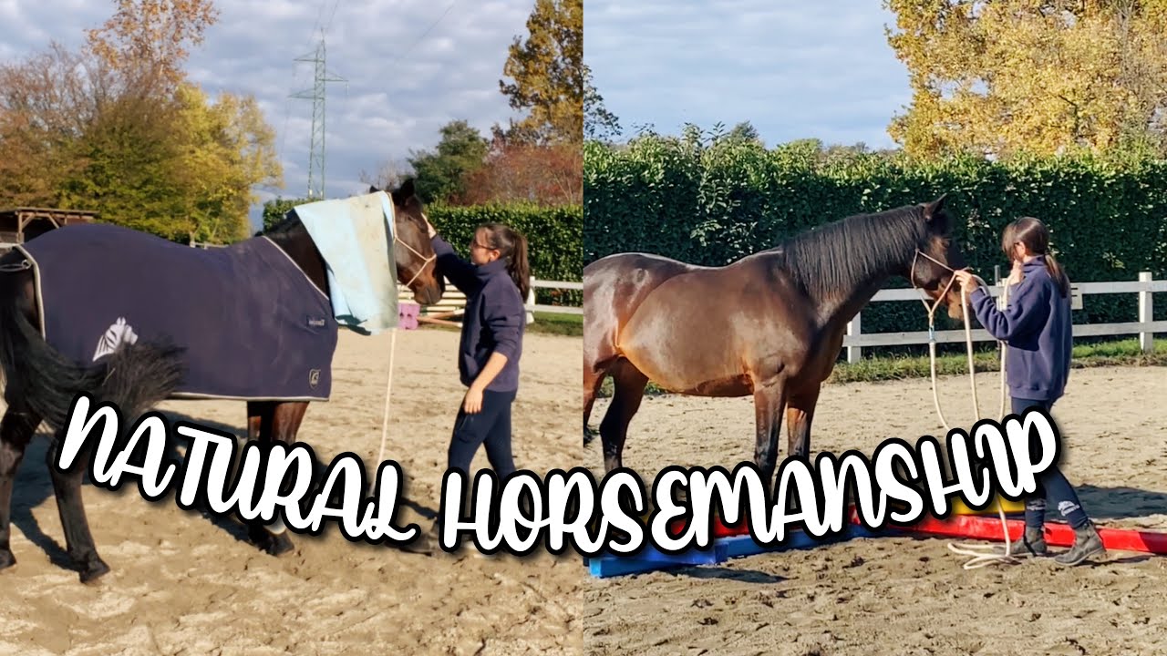 Come approcciarsi al metodo Parelli? #1 #naturalhorsemanship