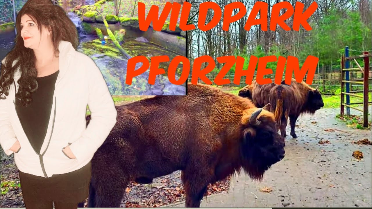 Ausflug in den Wildpark Tierpark Pforzheim in Deutschland 2023 (Vlog #192 )