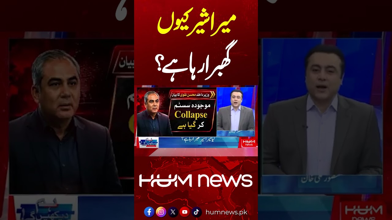 &ldquo;Why Is My Lion Worried?&rdquo;  Mansoor Ali Khan&rsquo;s Analysis | Hum News | Pakistan