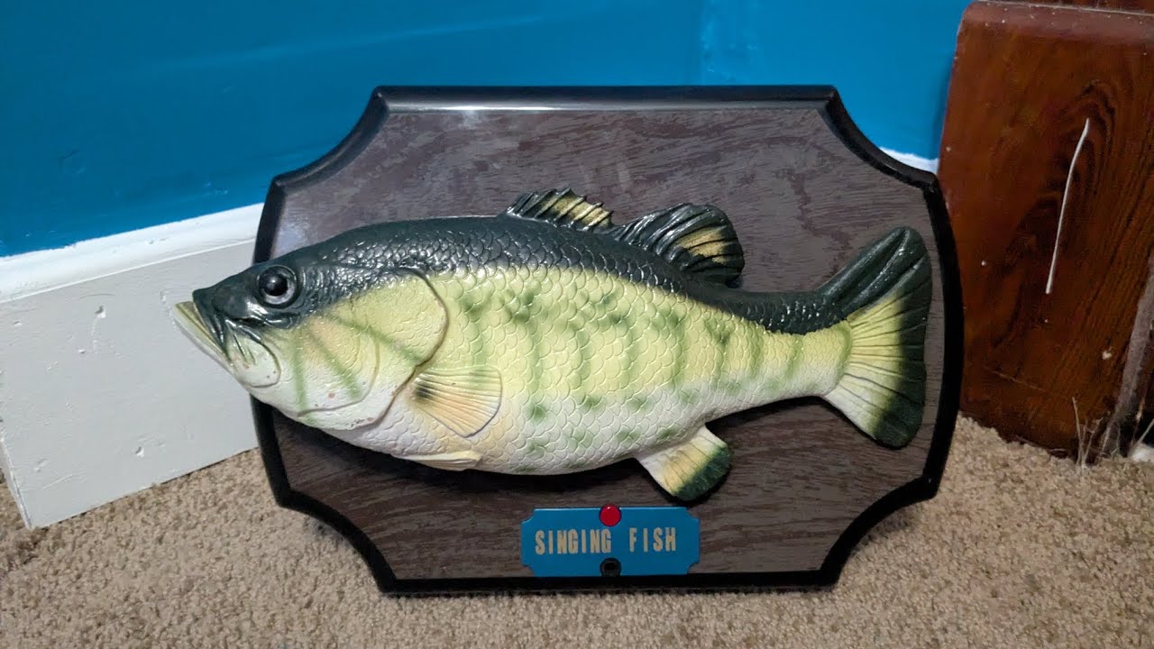 Jiada Singing Fish (Lazy Head Variant) 