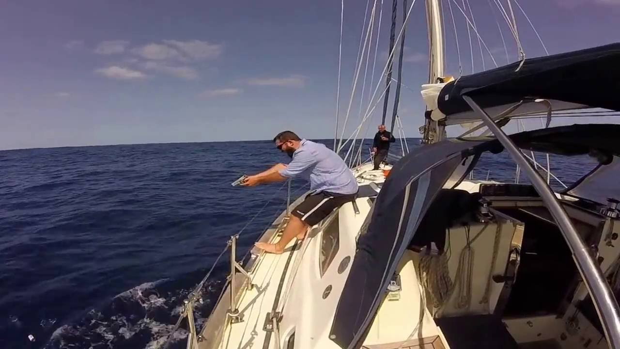 Southerly 135 ‘Hejira’ — Bermuda to Faial 2016