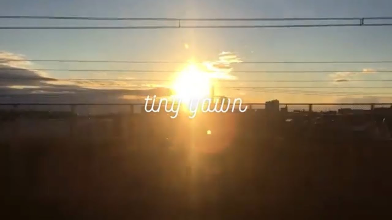 夜明の星 / tiny yawn