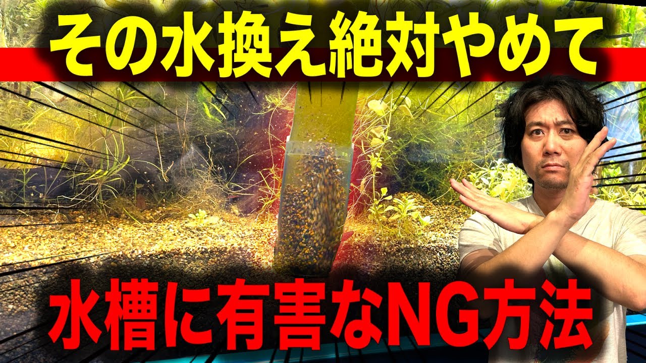 【水槽の急所を見極めろ】プロが教える水換えテク＆便利グッズ！