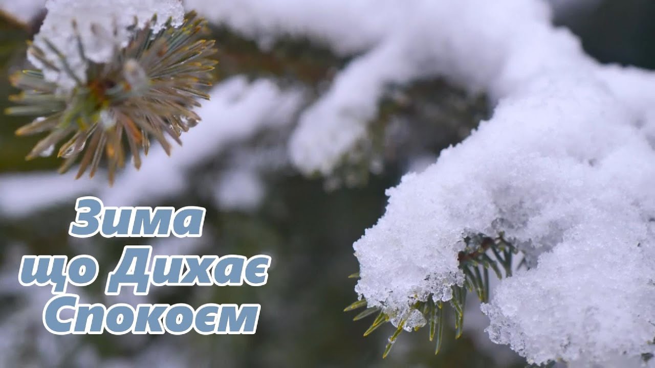 Поезія, що Дихає Спокоєм 🌫️🌲Затишок і Краса Зими