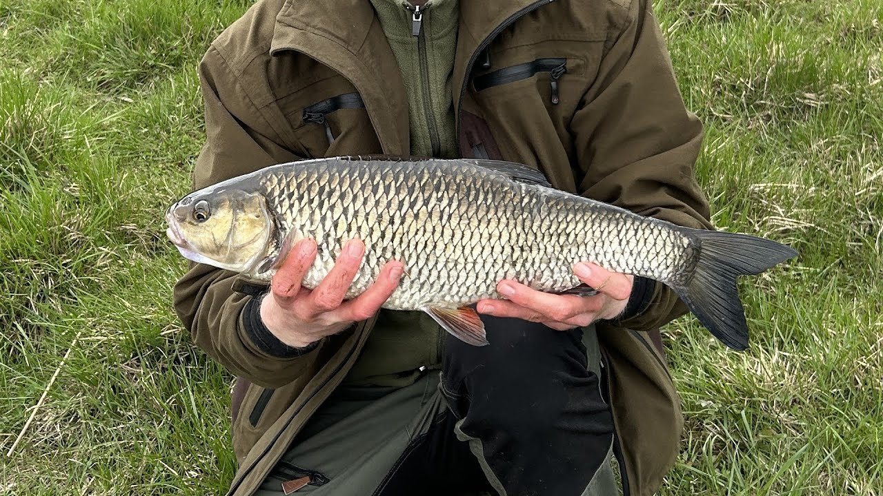 Fiske och natur vid Emån