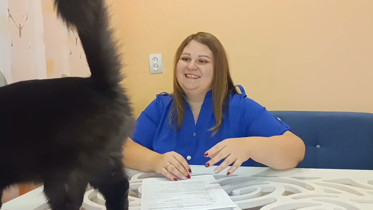 Школа приемных родителей/Усыновление