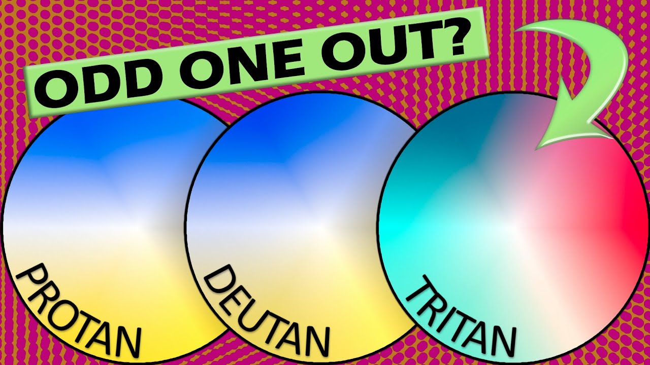 Why do Protan & Deutan look so similar?