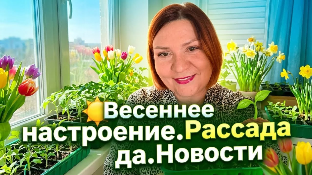 17 марта 2026 г.