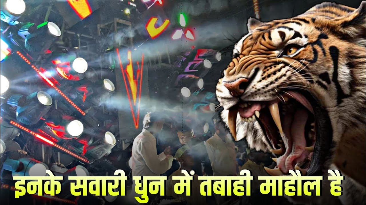 इनके 🦁 सवारी धुन में जबरदस्त माहौल है | Sawari Dhun 2024 | Bhilai 3 Urs | Gauri Kripa Dhumal Durg Cg
