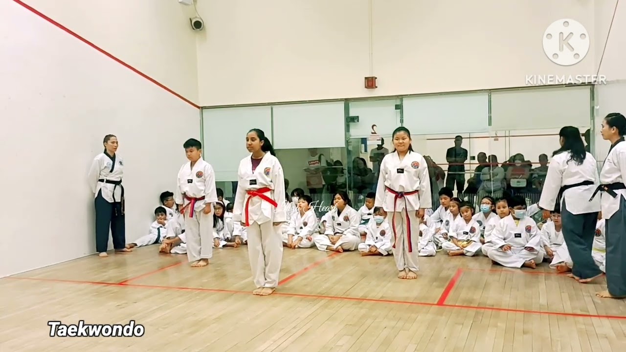 Taekwondo Pattern #7 | Taekwondo Kids Martial Arts #kids #sports #tkd #video #taekwondo #martialarts