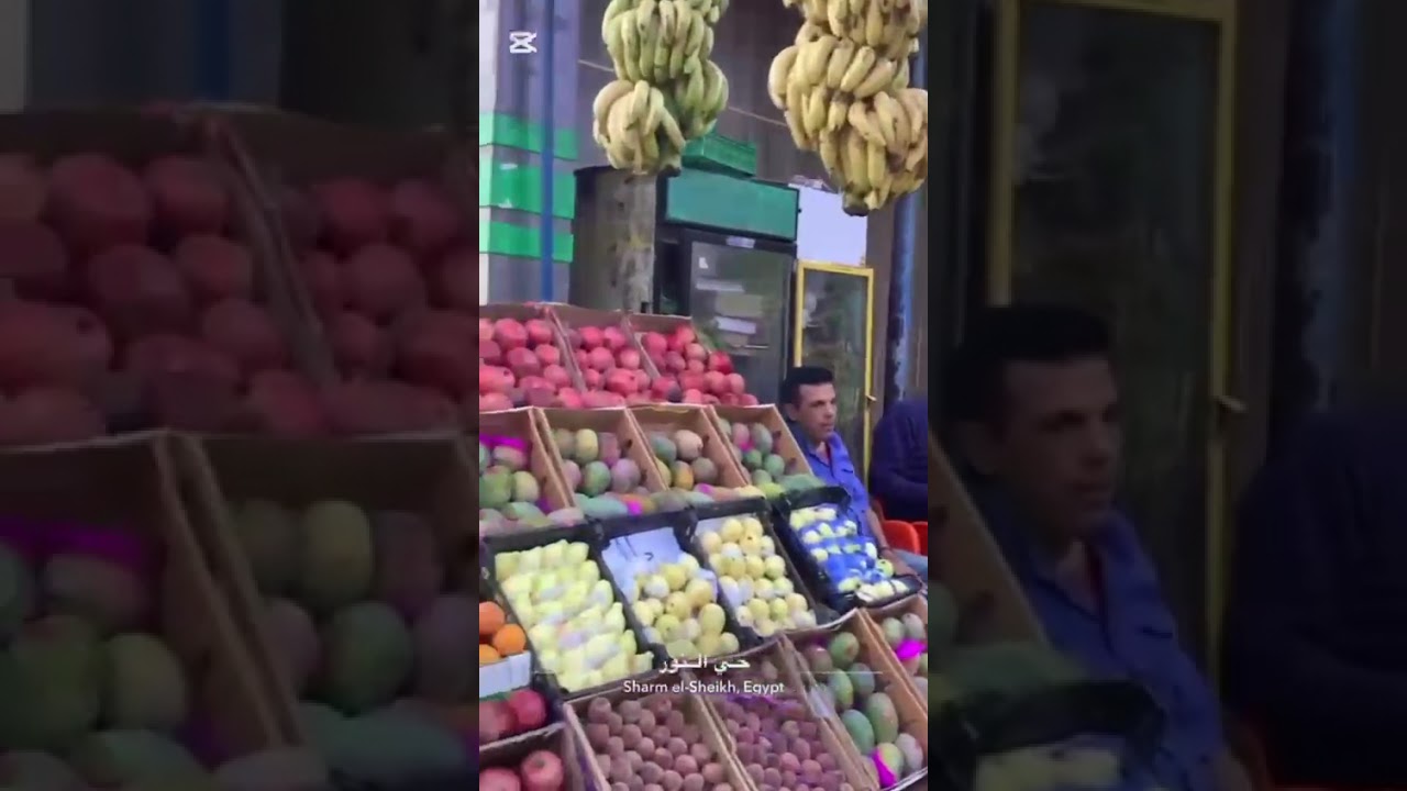 احلى فيديو من عند سمر جميل