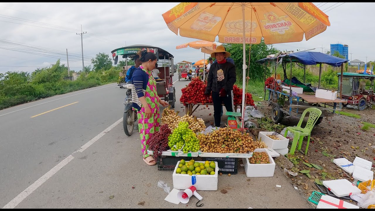 Roadside Street Food in Cambodia Countryside, What Factory Workers Eat! Market Food Tour, & More