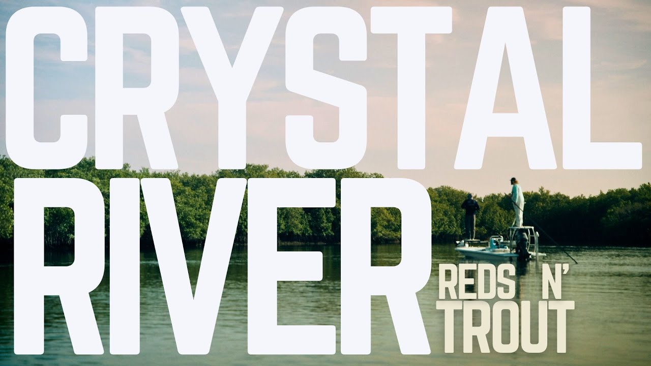 SIGHT CASTING for TROUT in CRYSTAL RIVER