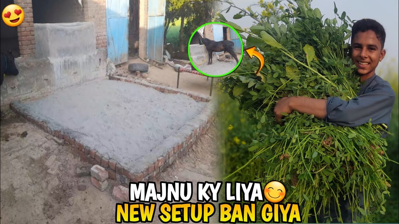 MAJNU KY LIYA NEW SETUP BAN GIYA & Abdul wahab vlogs 