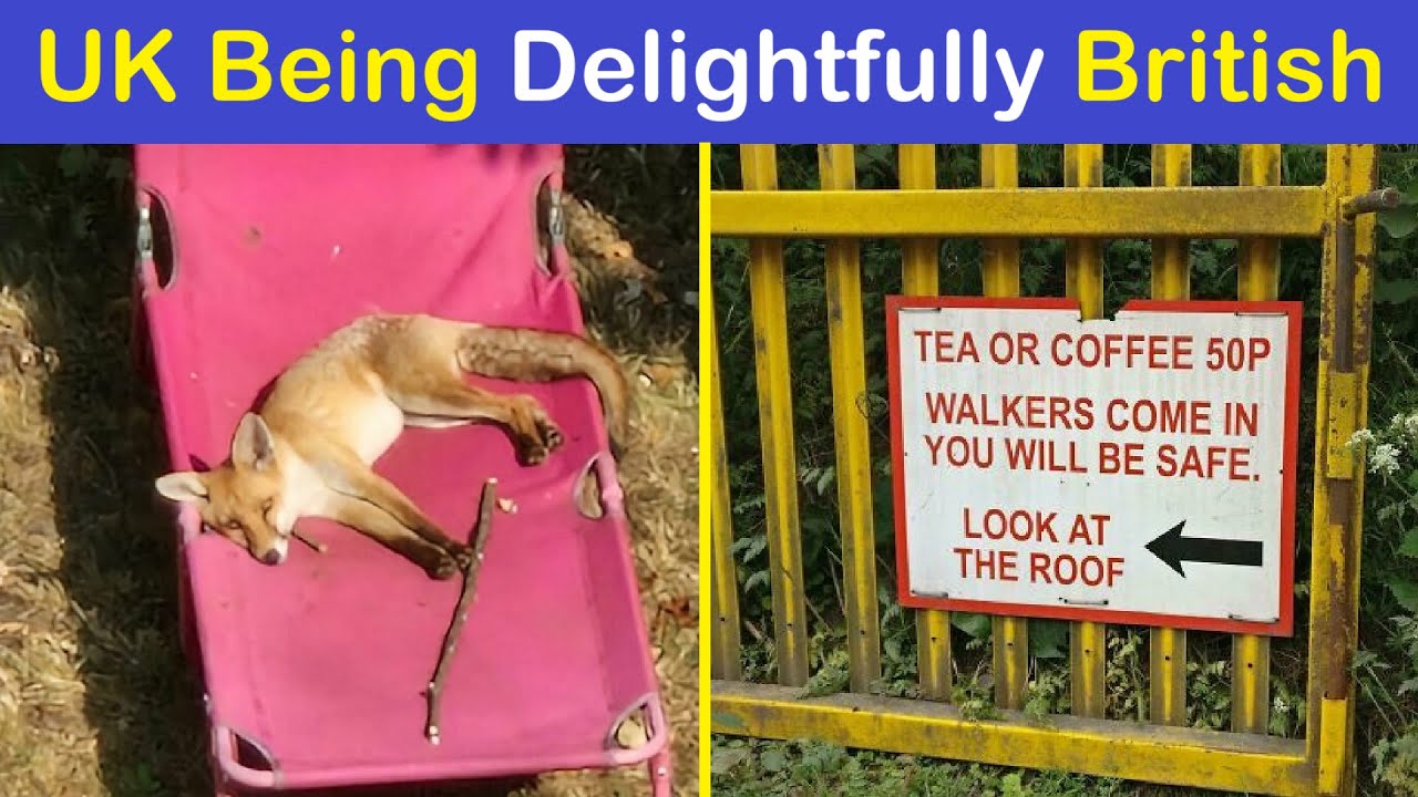Hilarious Photos Of The UK Being Delightfully British | Happy And Fun