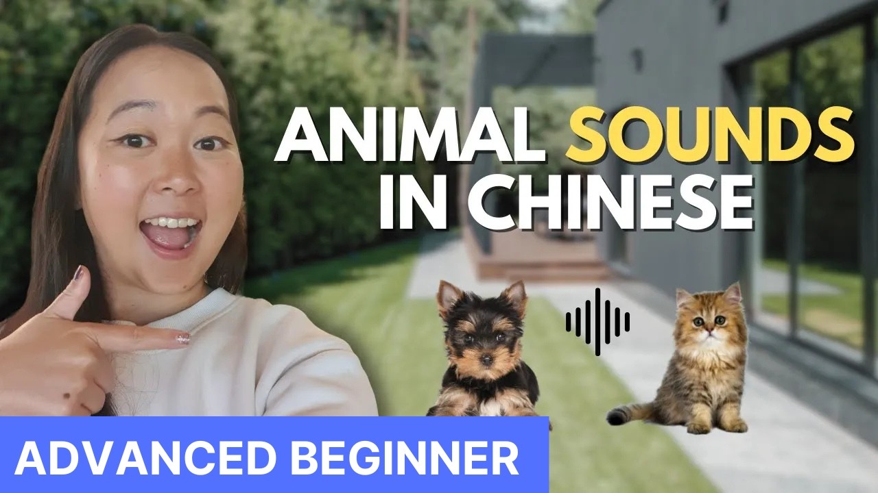 Animal sounds in Chinese - Chinese Comprehensible input - beginner