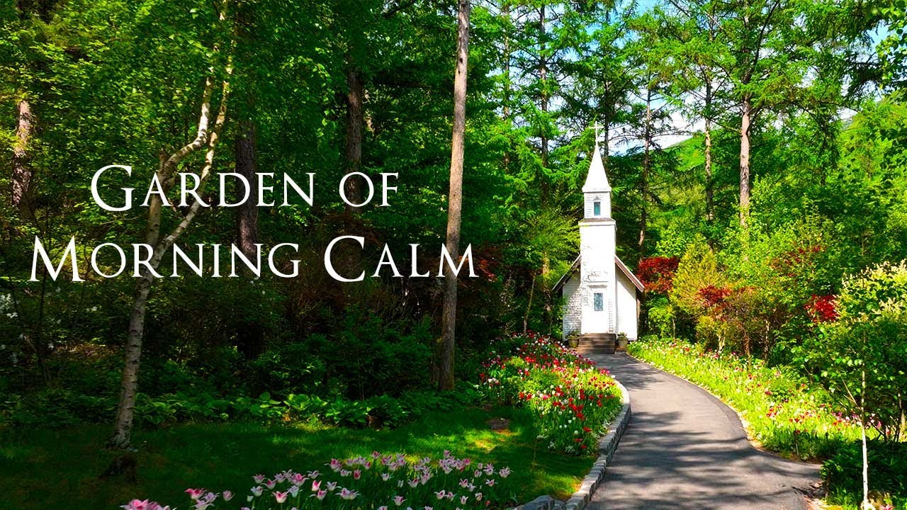 봄 꽃이 만발한 가평여행지! 아침고요수목원  드론영상 Cinematic Korea  Garden of Morning Calm 4K video