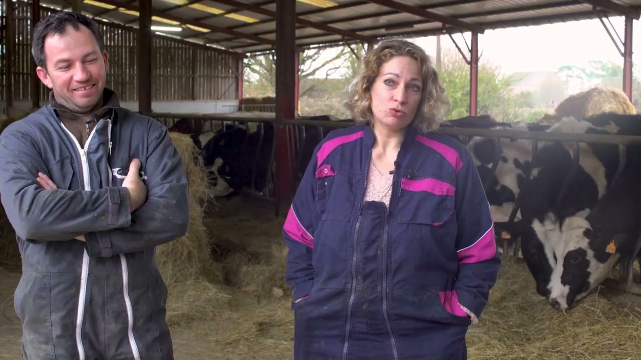 Se reconvertir et s'installer en bovins lait : témoignage (36)