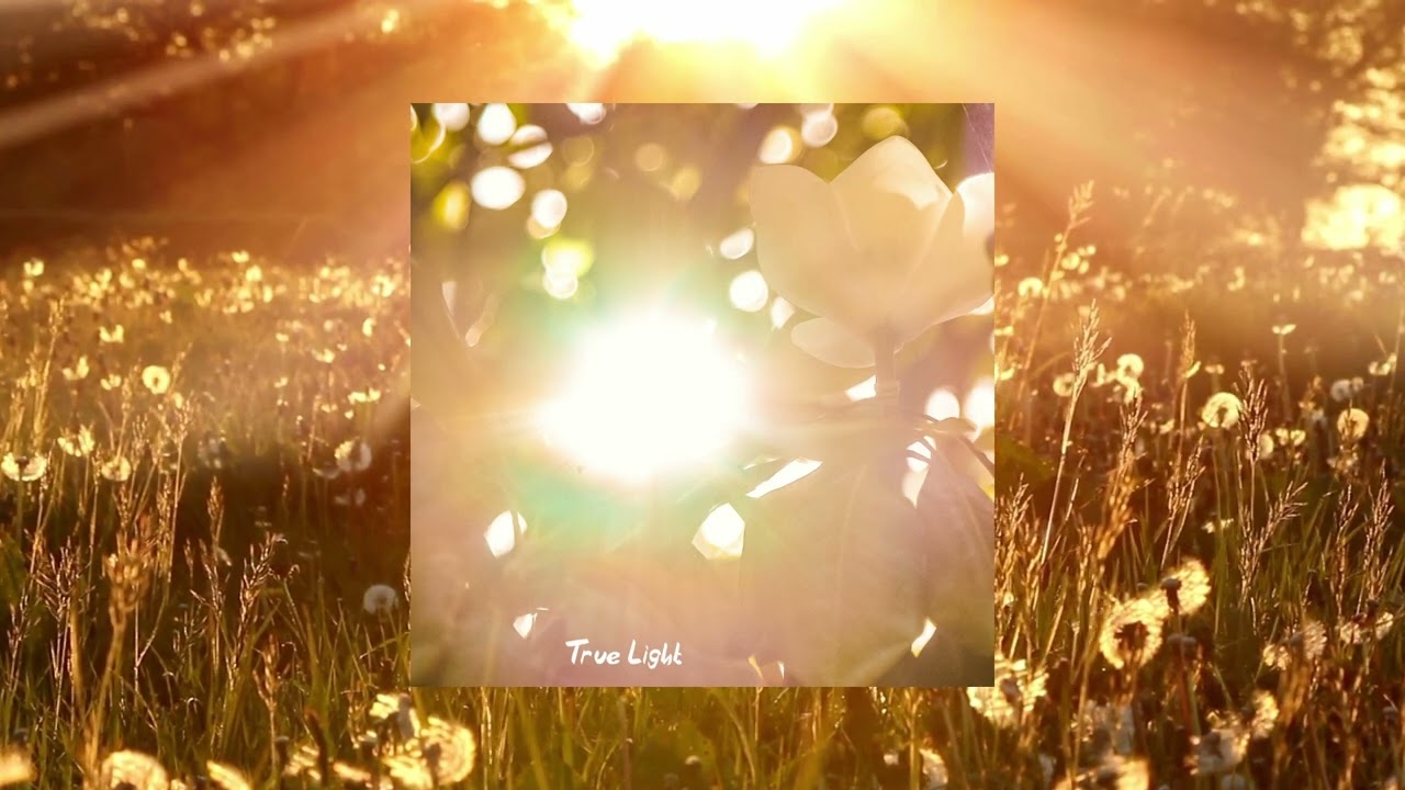 Equanimous, Florestella, Watashi - True Light