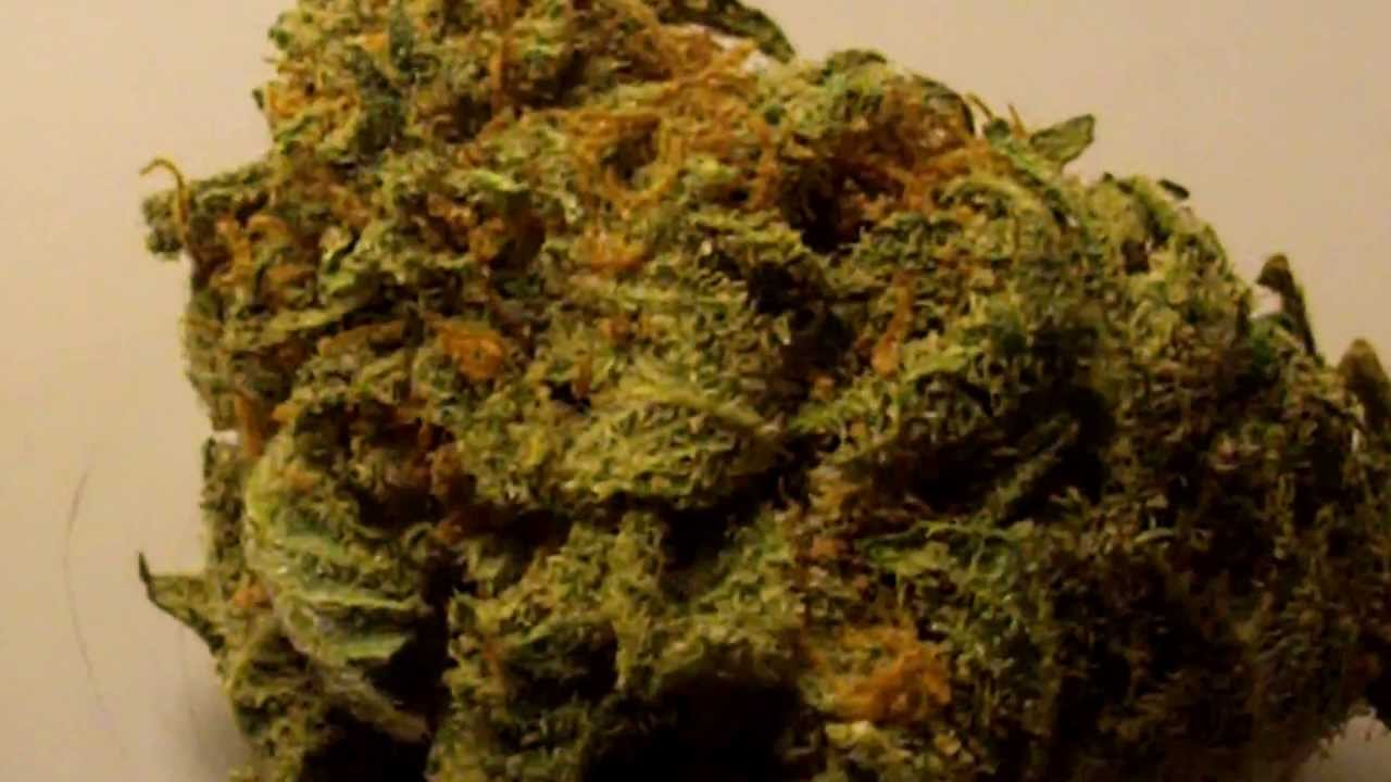 Ep 346 BC Rockstar Strain Review Hd 1080p BC Bud Depot Seeds medical marijuana weed