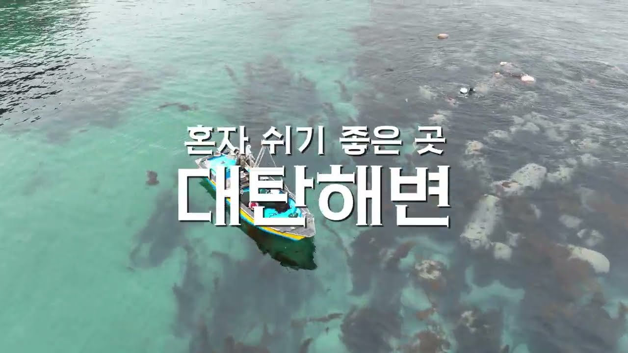 혼자 쉬기 좋은 곳 영덕 대탄해변