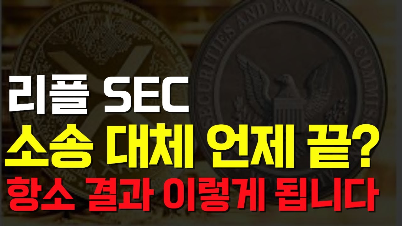 리플 SEC 항소 결과 예측해드립니다