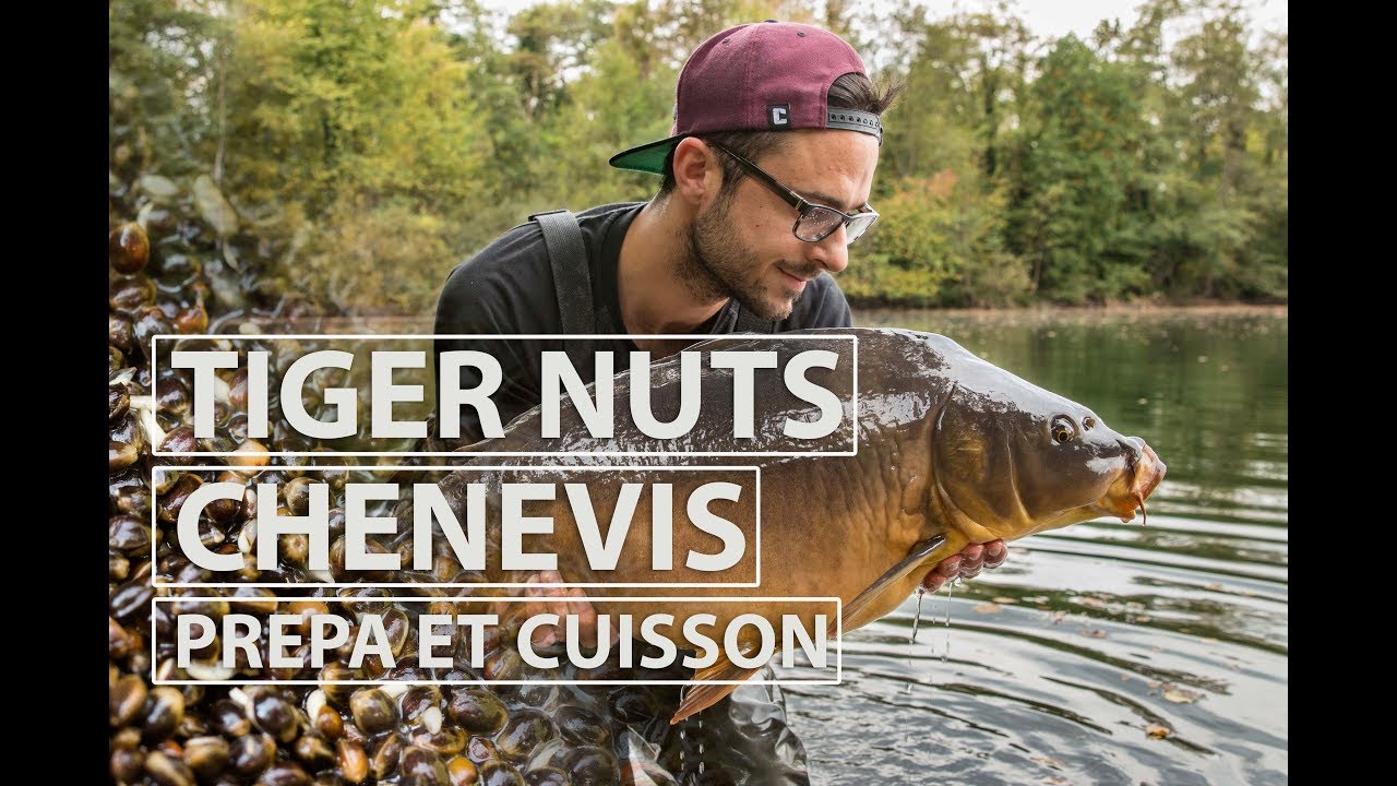 Préparation et cuisson Tiger Nuts, Chènevis - Pêche à la carpe