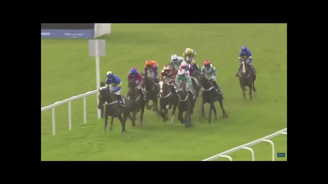 Talakan's Training Tales   Race Week One   Ascot
