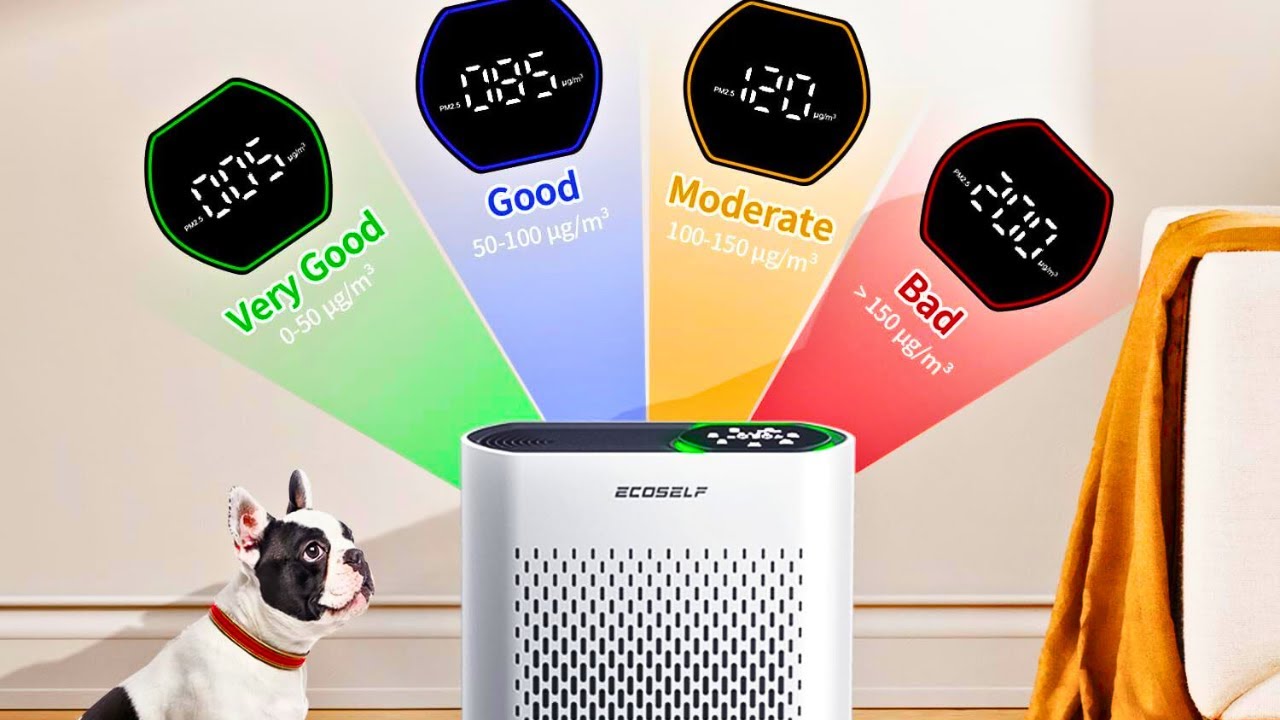 Ecoself Powerful Air Purifier | Air Purifiers for Home Large Room