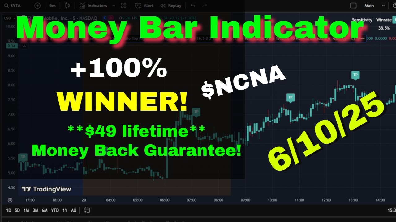 Tim Bohen Money Bar Indicator 100% WINNER