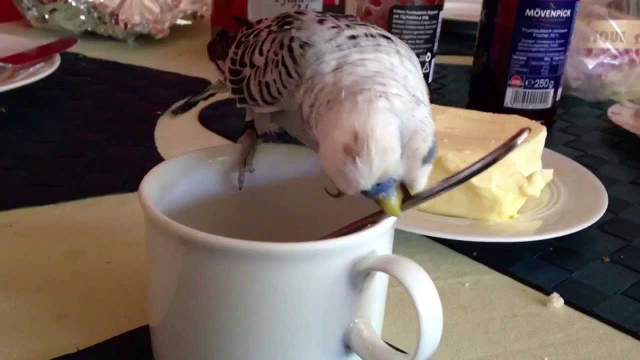 Kaffeetafel