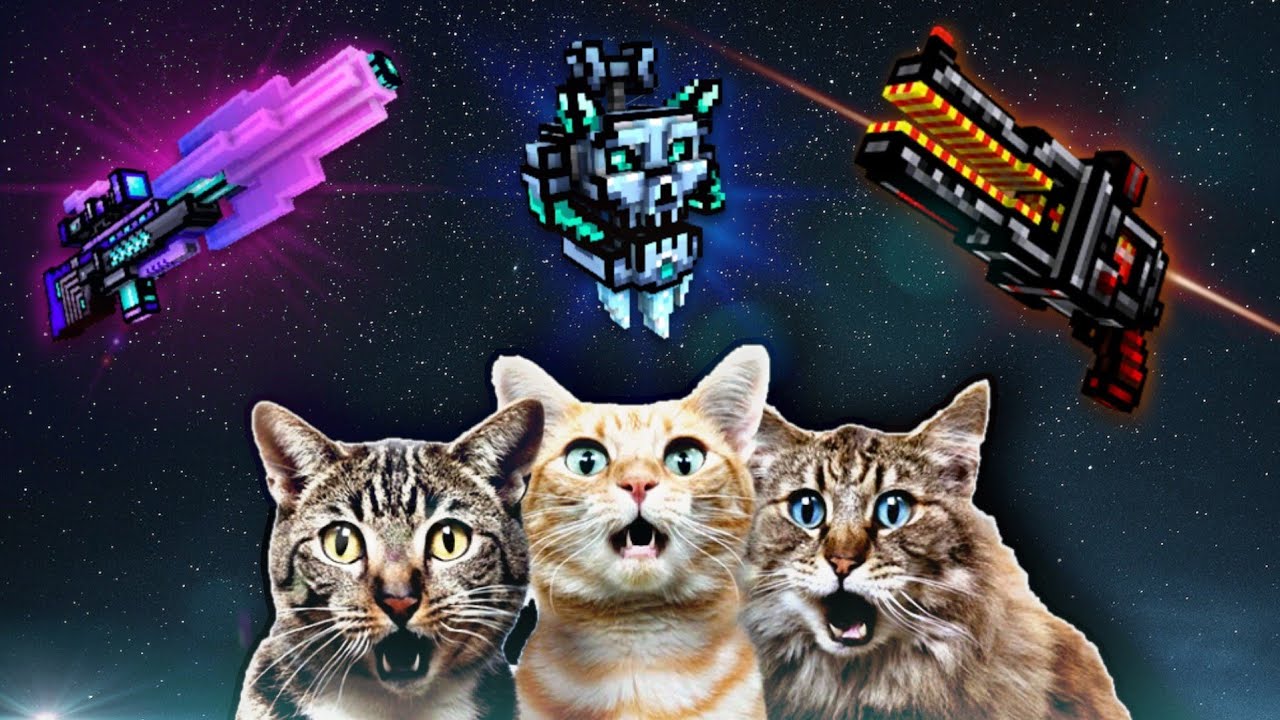 How To 3 Cat Spam In Pixel Gun 3D 2023! (Everything Explained!)